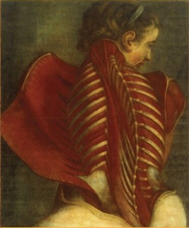 Le XVIIIe & La Médecine Le Grand Secret